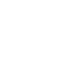 Linked In Logo